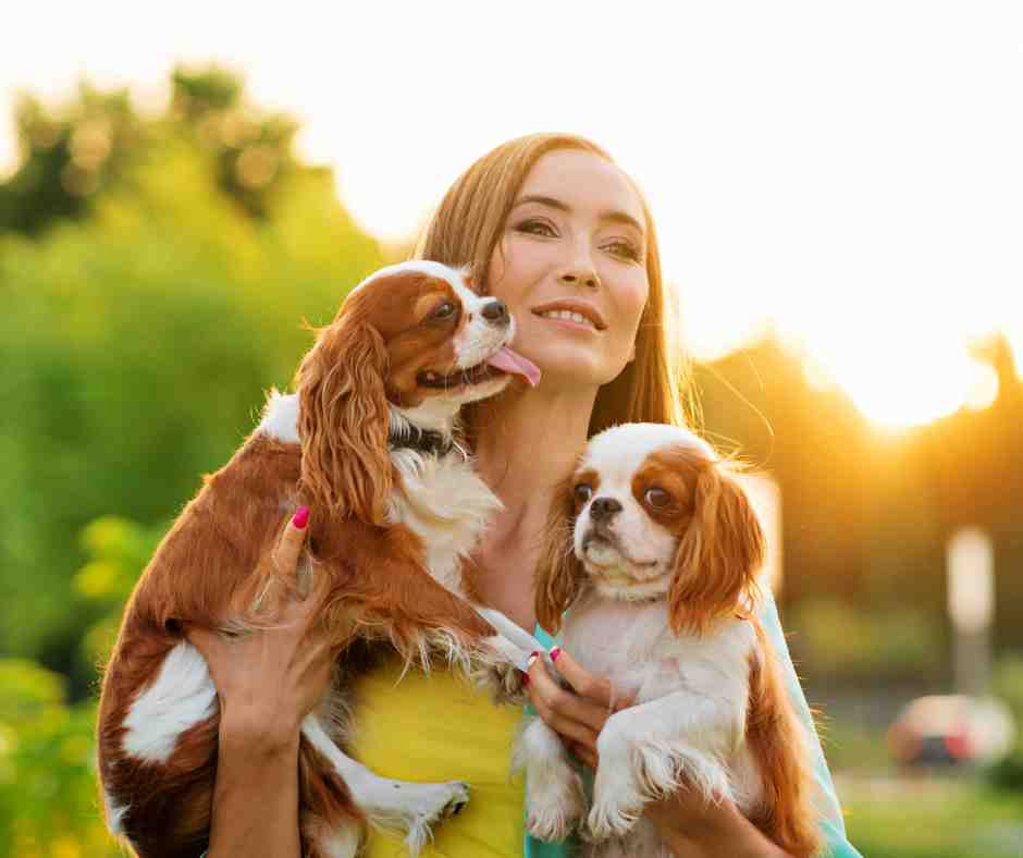 Expert SEO for Pet Businesses 2 Dog breeder holding dogs